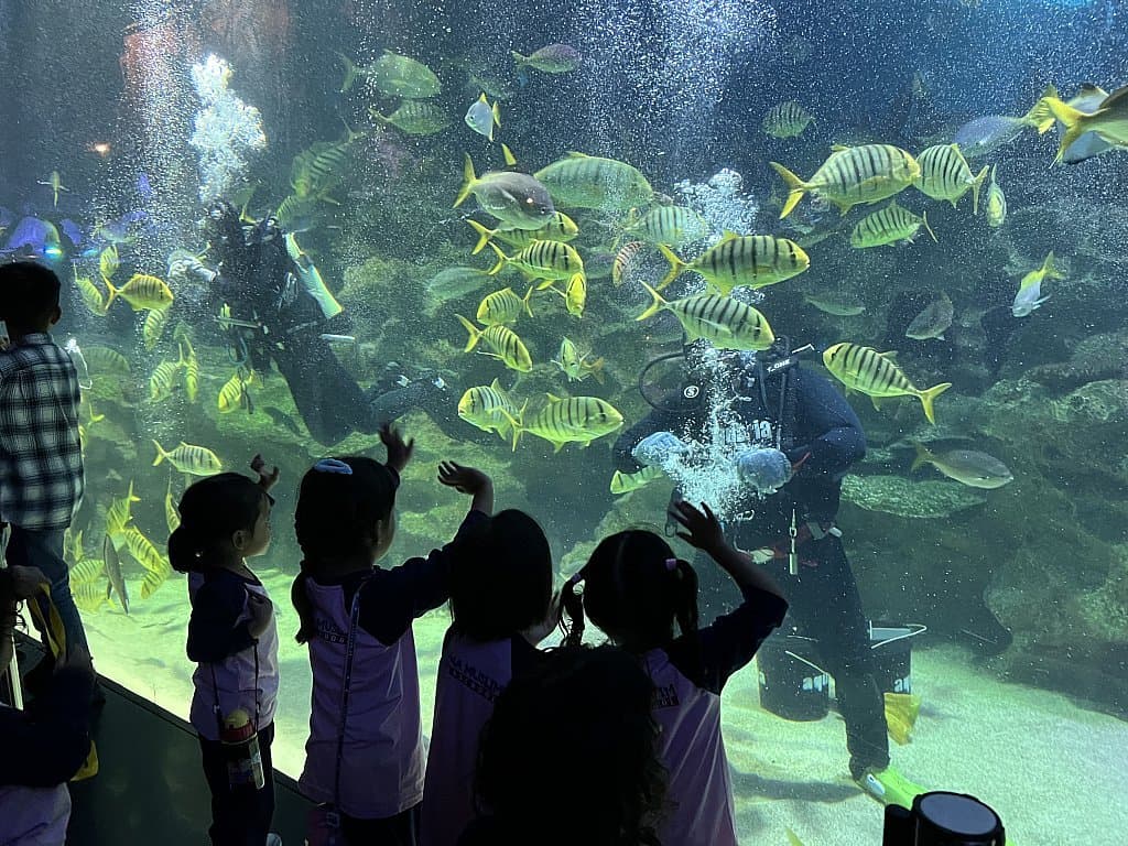 Cyberjaya Field Trip 2024 _ 4 Years Old: photo 14