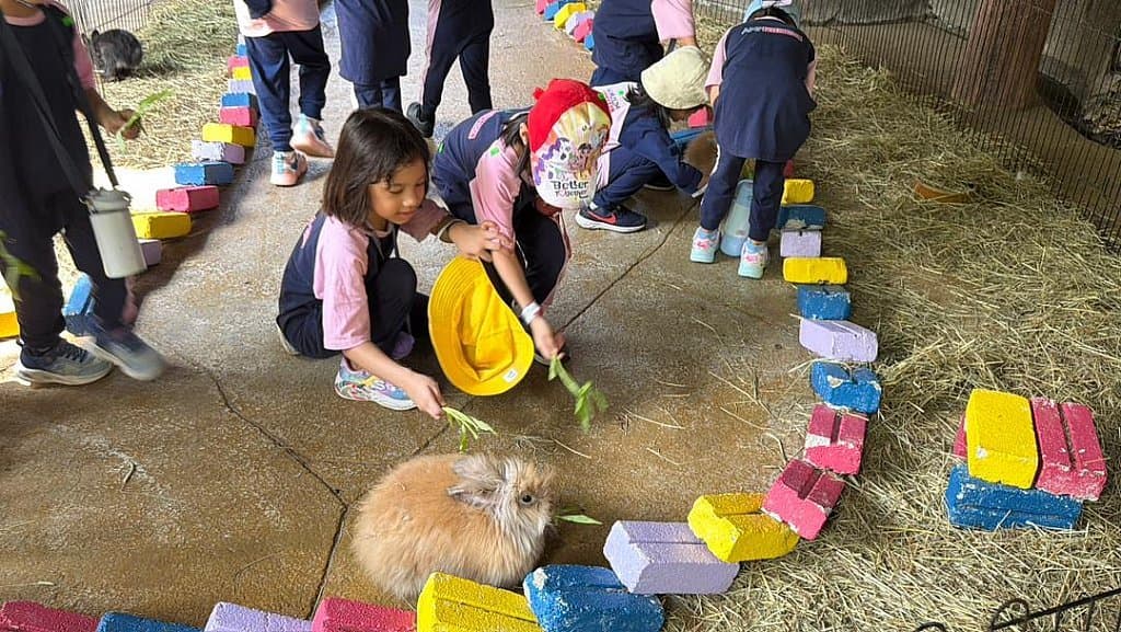 Field Trip_ Sunway Wildlife Park 2026: photo 9