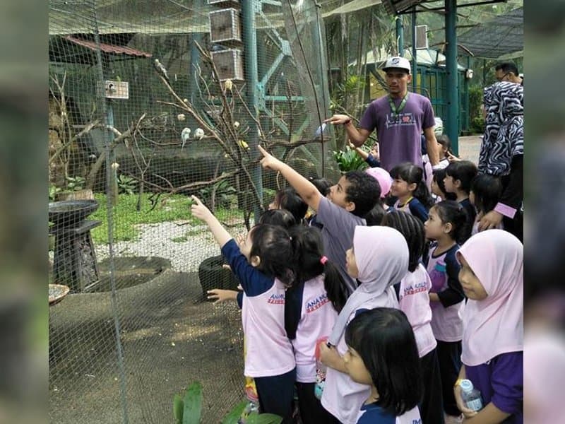 Field Trip 2017: photo 3