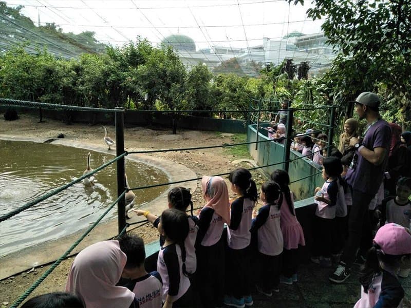 Field Trip 2017: photo 4