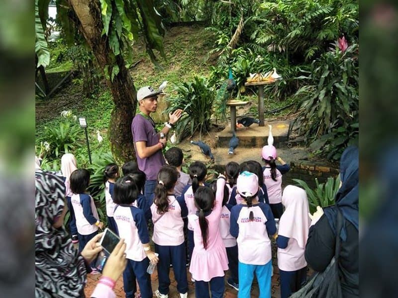 Field Trip 2017: photo 9