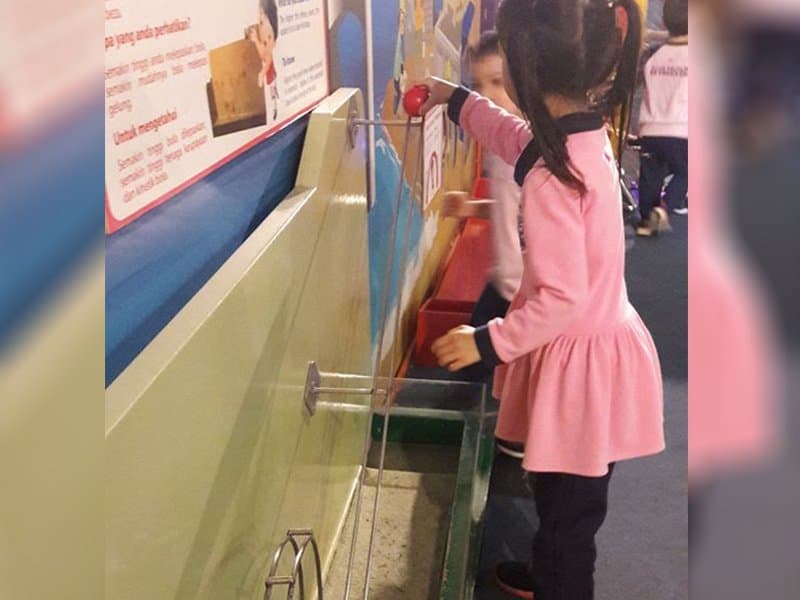 Field Trip 2018: photo 6