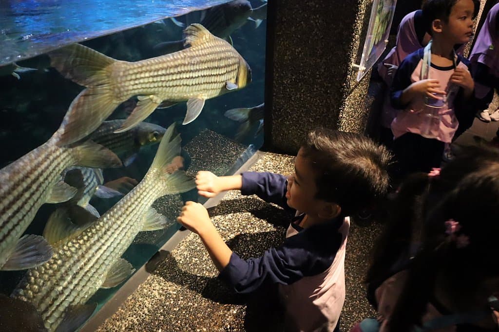 Putrajaya Field Trip 2024: photo 16