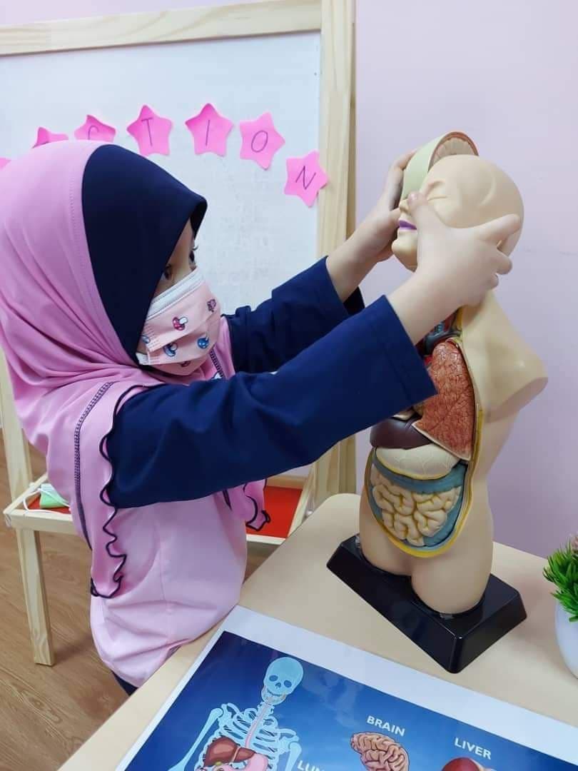 Science Fair 2021: photo 8