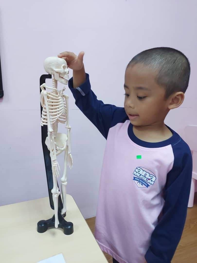 Science Fair 2021: photo 9