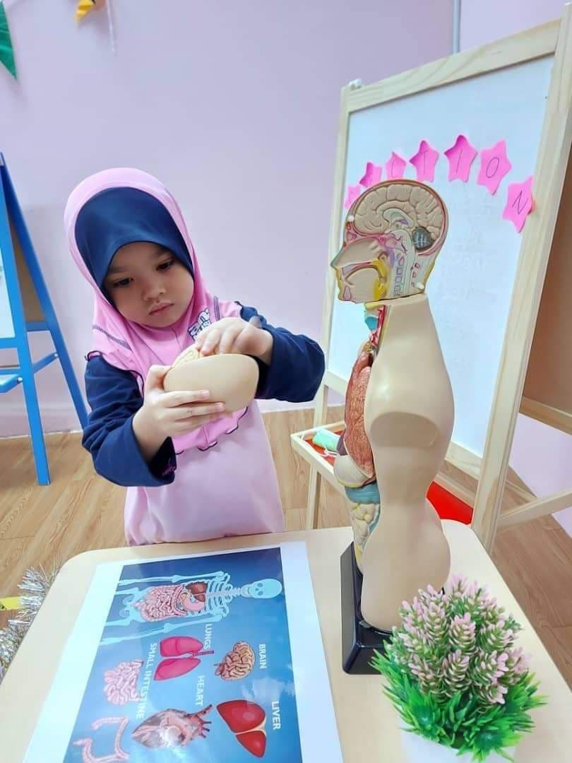 Science Fair 2021: photo 17