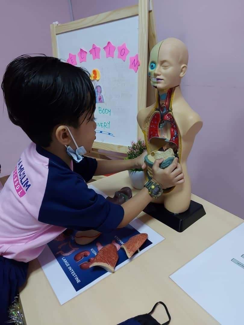 Science Fair 2021: photo 20